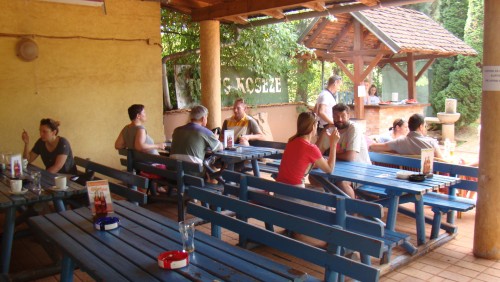 slike za nazaj + klubski piknik 2017 179.JPG